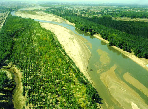 Picture 7 of China turns desert twice the size of Shanghai, haunting with 60m high sand dunes into green oasis