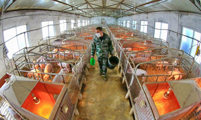 Picture 1 of China's 22 seconds animal feed making process