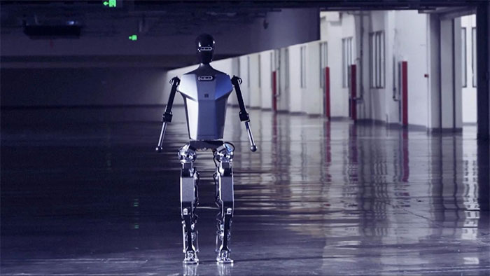 China's first self-developed multi-purpose humanoid robot