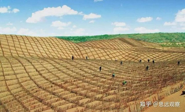 Picture 4 of China's 'sand-eating monster' devours 40 acres of desert a day, likened to a giant money-printing machine
