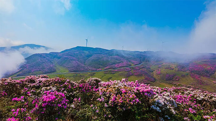 'City without air conditioning' in China: People don't know what heat is! Picture 7