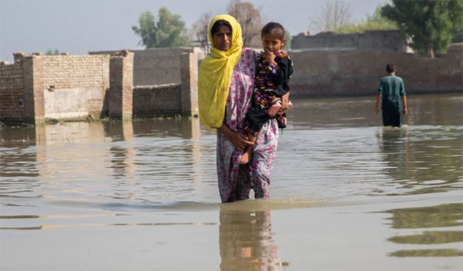Picture 1 of Climate change reverses medical progress
