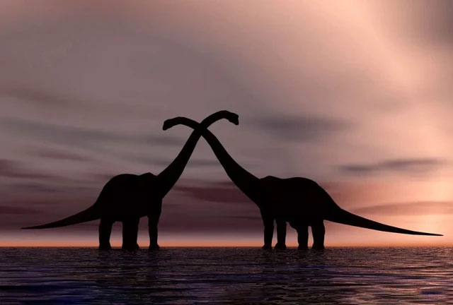 Clues reveal the metabolic rate of dinosaurs: warm-blooded Tyrannosaurus rex, cold-blooded Stegosaurus! Picture 4