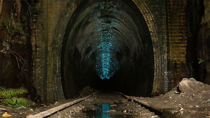 Picture 9 of CNN praises Vietnam's 'Underground City': One of the most fascinating in the world!