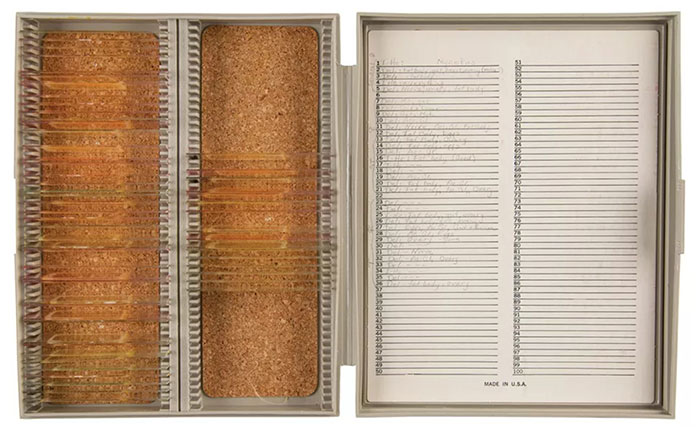Picture 4 of Cockroaches that eat lunar dust from the Apollo 11 mission are being auctioned