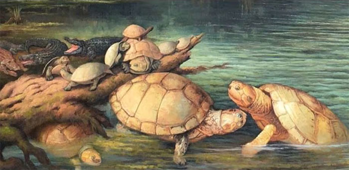 Colombia discovered giant turtle fossils dating back 57 million years ago