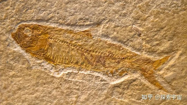 Picture 1 of Combining archaeological and geological evidence, prehistoric floods may be more than just myth