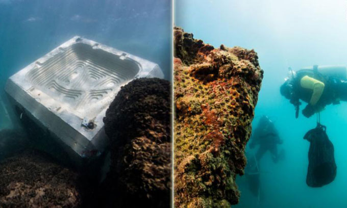 Picture 1 of Concrete increases durability when 'feeding' marine life