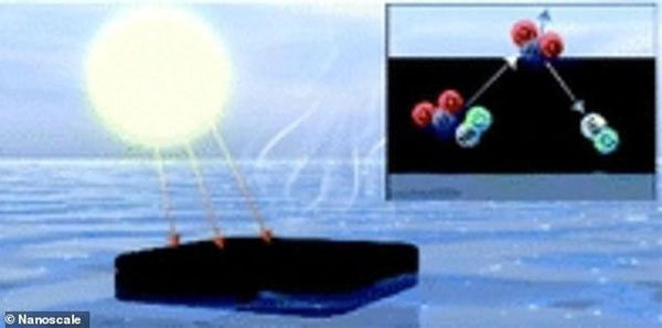 Picture 2 of Cow dung helps filter seawater into pure water