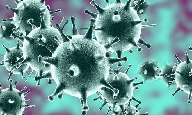 Danger from the emergence of new viruses Picture 1