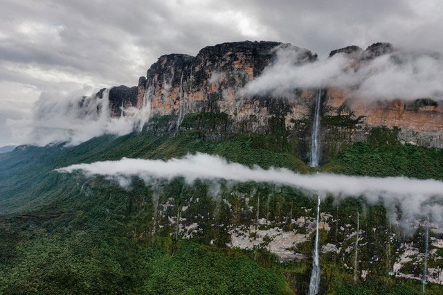 Picture 1 of Danger lurks inside the mountains where birds sing and insects chirp