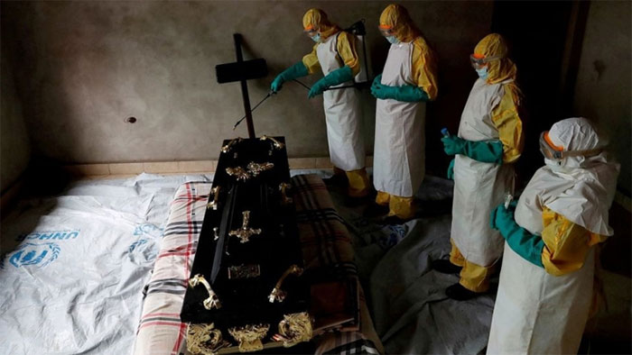 Picture 3 of Deadly epidemic viruses once 'disappeared without a trace'