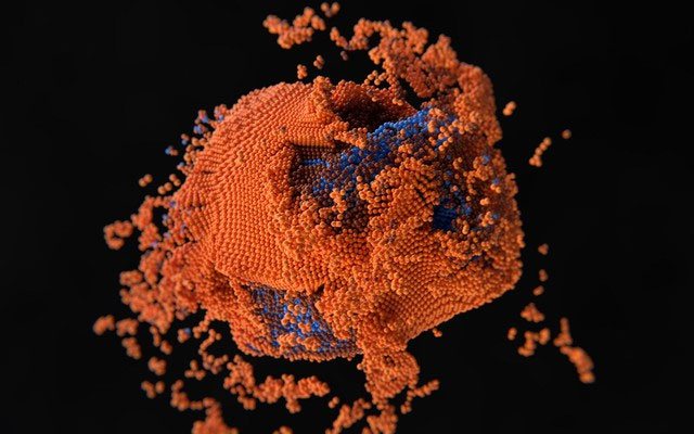Picture 5 of Death is not the end: New mathematical models show cells can be revived!
