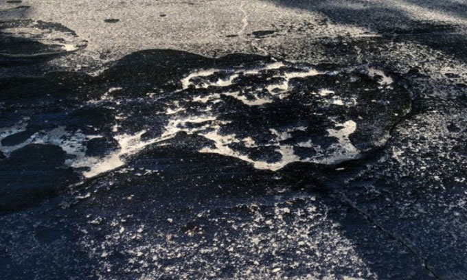 Picture 1 of 'Death' mucus has haunted Venezuela for 40 years