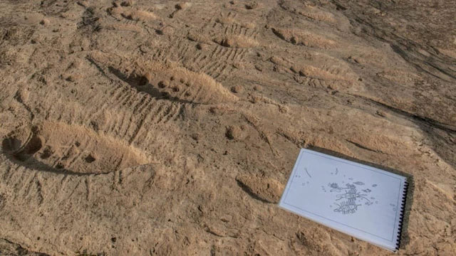 Picture 3 of Decipher the 'mysterious' carving in the desert in Qatar