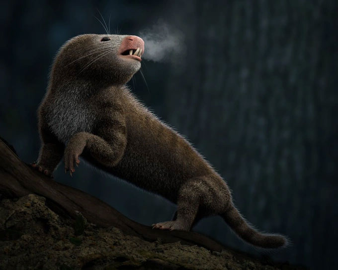 Picture 1 of Decoding the mystery: Since when did our ancestors become warm-blooded animals?