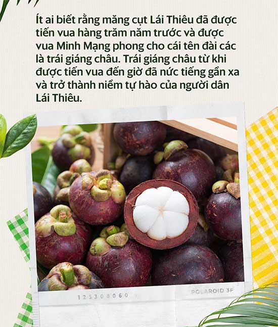 Picture 3 of Decoding the origin of mangosteen - the fruit that is causing a stir on social networks because of its unique salad dish