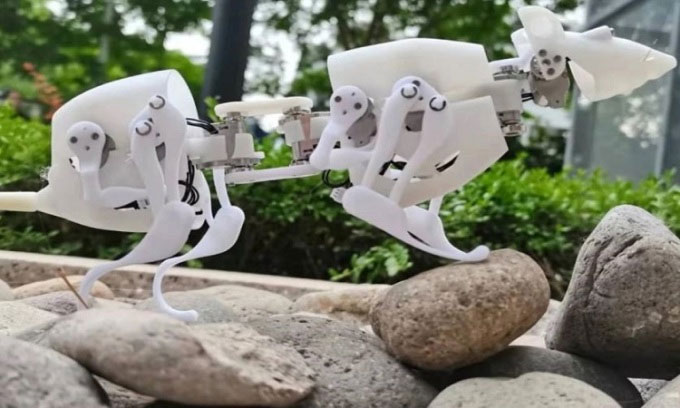 Design a robot mouse model to find survivors in disaster areas Picture 1