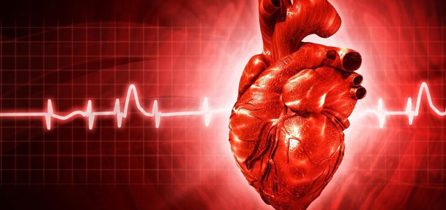 Picture 1 of Detecting genes important in healing heart damage