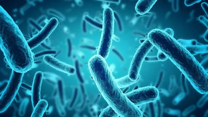 Picture 1 of Developing new synthetic antibiotics that can kill even drug-resistant bacteria.