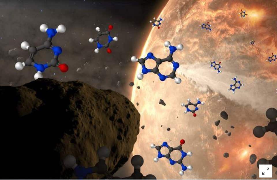 Picture 1 of Did life on Earth originate from outer space?