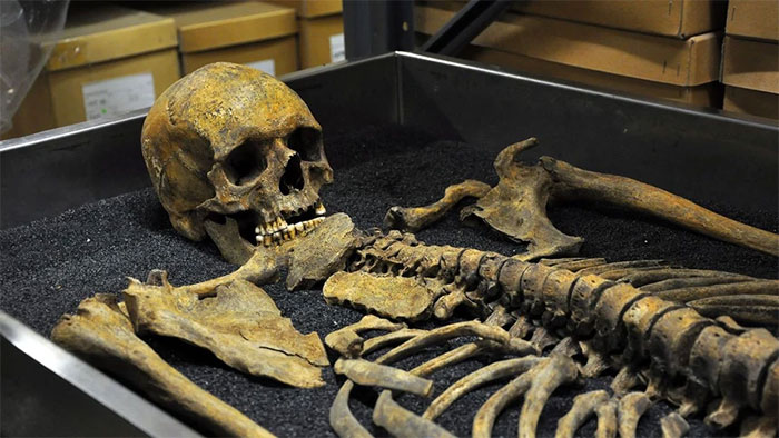 Picture 3 of Did prehistoric giants really exist?