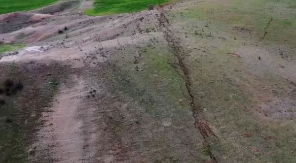Disaster after historic earthquake in Türkiye: Millions of caterpillars land, images make everyone 'shudder' Picture 1