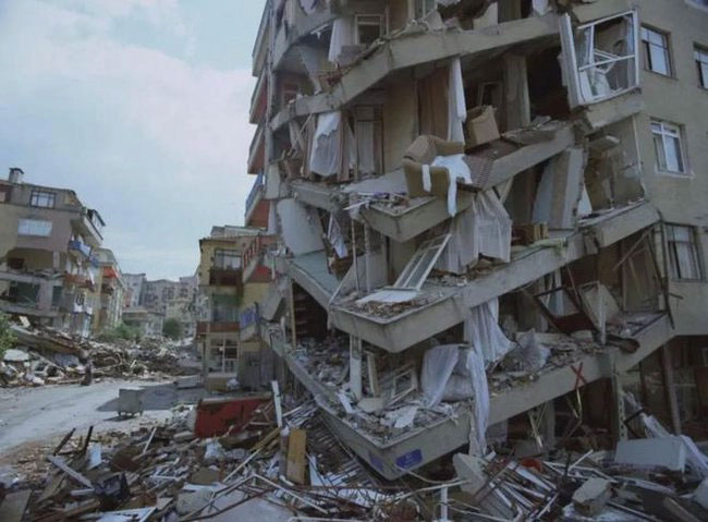 Disaster after historic earthquake in Türkiye: Millions of caterpillars land, images make everyone 'shudder' Picture 4