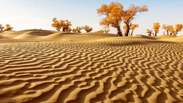 Picture 2 of Discover China's largest desert, a place that is considered 'easy to enter, hard to return'