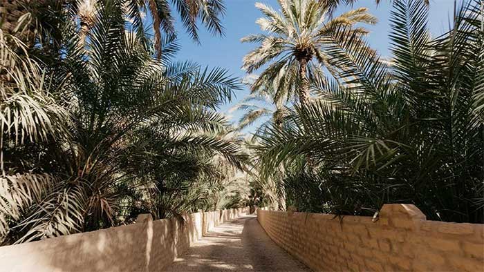 Discover the ancient wonder found in the Arabian desert Picture 2