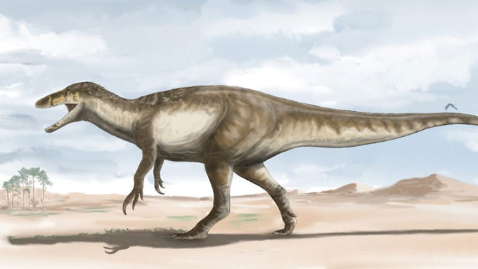 Picture 1 of Discovered a new giant predatory dinosaur, up to 10m long