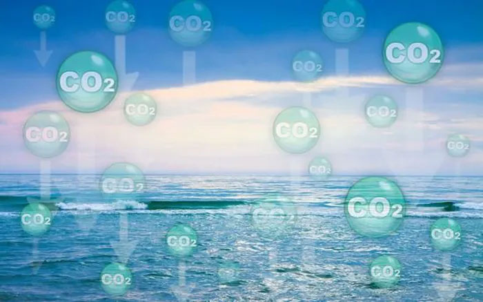 Discovered a new type of bacteria that has the ability to absorb carbon naturally Picture 1