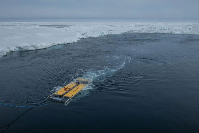 Picture 4 of Discovered the most famous explorer shipwreck in history on the bottom of the Antarctic sea