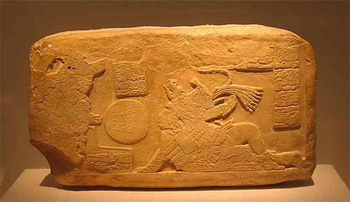 Picture 2 of Discovering Maya magic medicine that causes hallucinations in the most unexpected place