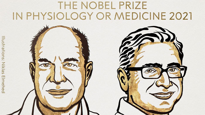 Picture 4 of Discovery of temperature and touch wins the 2021 Nobel Prize in Physiology