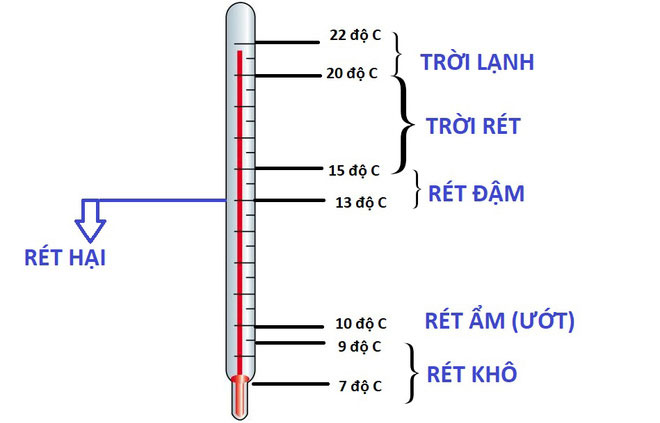 Picture 1 of Distinguishing between severe cold, severe cold, humid cold, and dry cold: Which type of cold is the 'scariest'?
