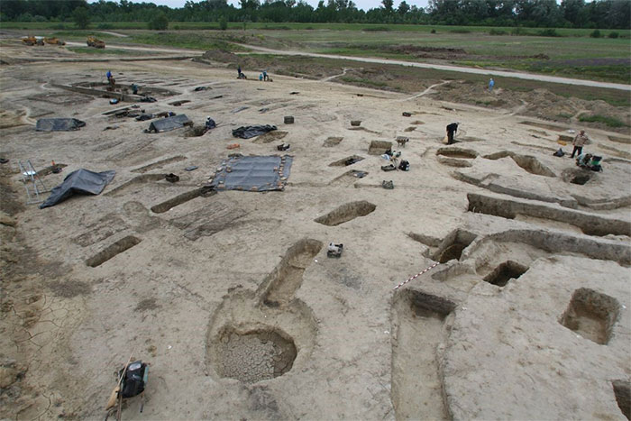 Picture 1 of DNA reveals sexual and marital patterns in powerful European empires
