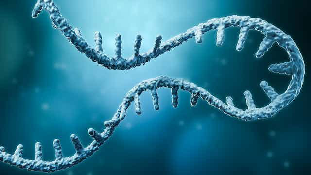 Picture 1 of DNA test method can detect many genetic diseases at the same time