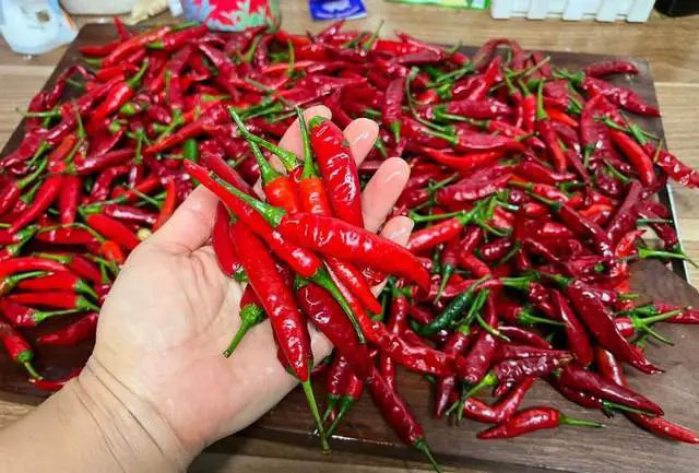 Picture 3 of Don't put them directly in the refrigerator, there is a way to preserve fresh chili peppers as if they were just picked for up to half a year