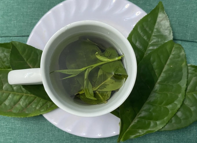 Drinking Green Tea Reduces Symptoms Of Rheumatoid Arthritis