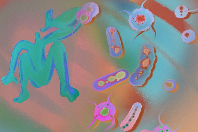 Picture 2 of Drug-resistant bacteria expected to kill tens of millions of people by 2050