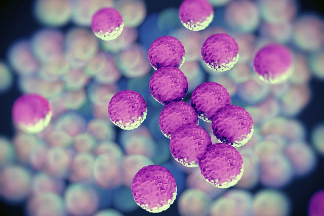 Picture 3 of Drug-resistant bacteria expected to kill tens of millions of people by 2050