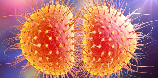 Picture 4 of Drug-resistant bacteria expected to kill tens of millions of people by 2050