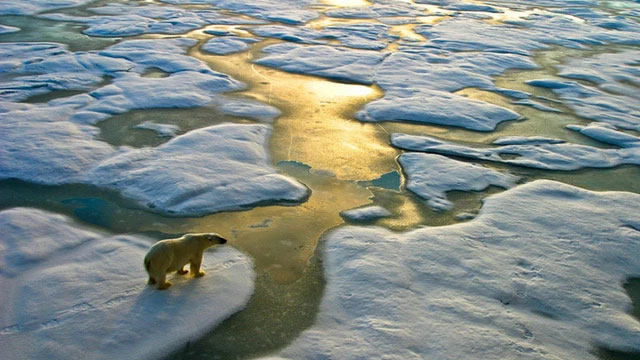 Earth's temperature could rise up to 4°C by the end of this century Picture 1