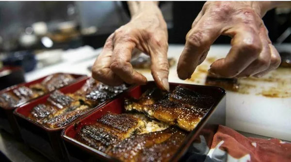 Picture 2 of Eel is as transparent as glass, a global smuggled 'white gold' treasure