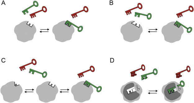 Picture 2 of Experiment shows Covid virus can shrink tumors of 4 types of late-stage cancer