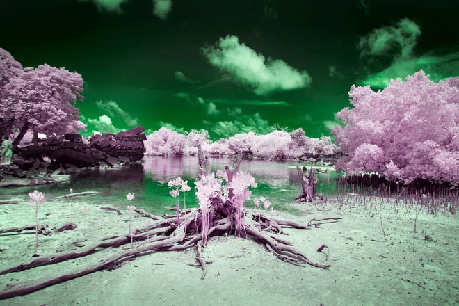 Explore the 'color blind island': Home to 250 residents and 10% of them are completely color blind Picture 5