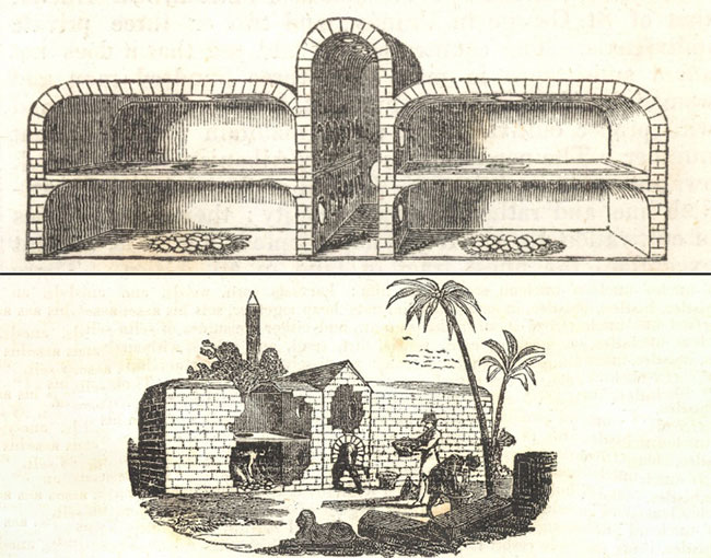 Picture 1 of Explore the Mass Incubators of Ancient Egypt