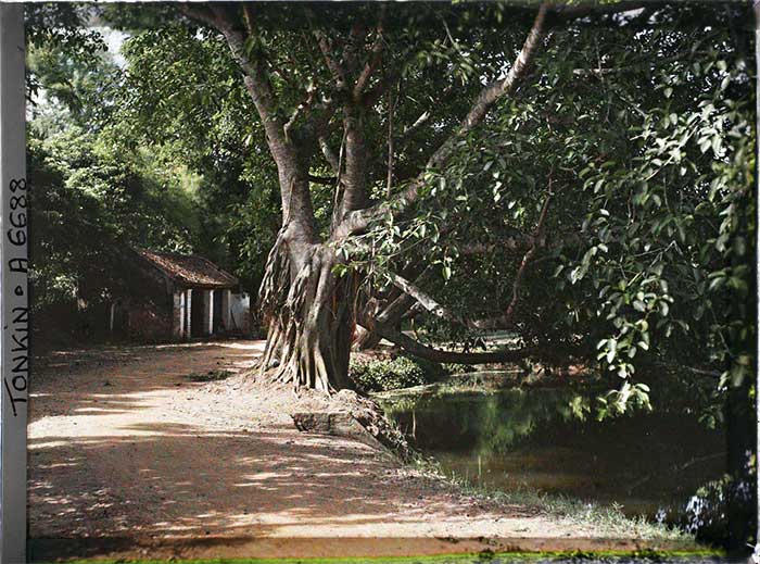 Picture 7 of Extremely valuable color photo of Ha Dong province in 1915