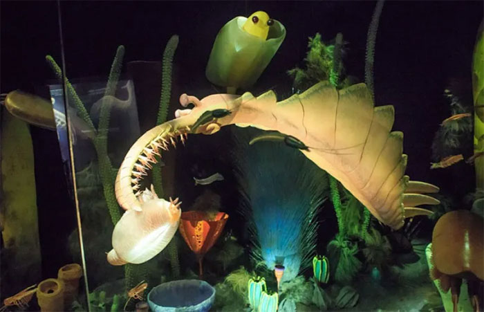 Picture 2 of 'Fainting' at the appearance of ancient Earth creatures, looking like alien monsters